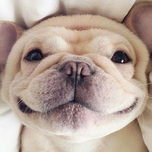 Meet your Posher, Ava